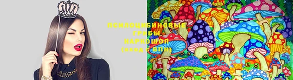 Альфа ПВП Остров