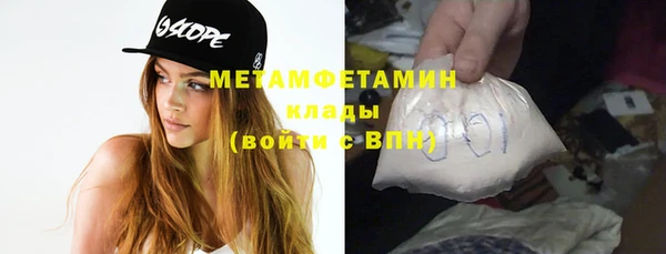 сатива Гатчина