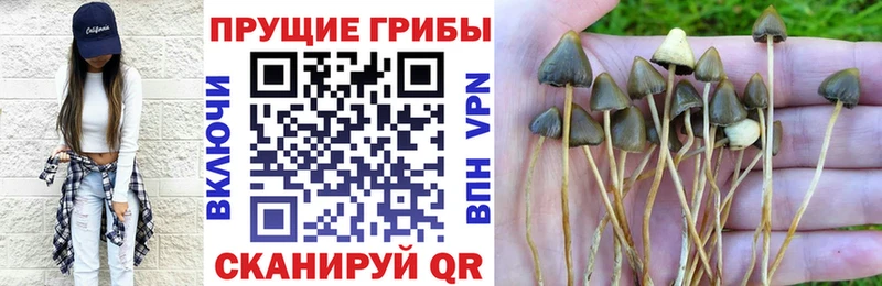 Псилоцибиновые грибы мицелий  Ливны 