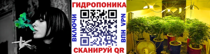 МАРИХУАНА OG Kush  где купить   МЕГА онион  Ливны 